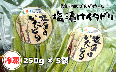 冷凍塩漬け イタドリ 250g×5袋 高知県産 いたどり イタドリ 山菜 野菜 野菜炒め 酢の物 キムチ 高知県 中土佐町