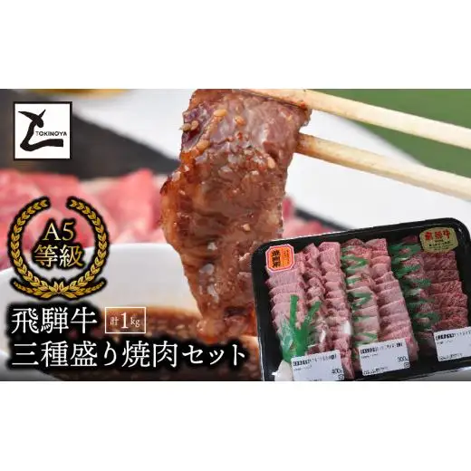 A5飛騨牛　三種盛り焼肉セット計1㎏ 2025/9/19～