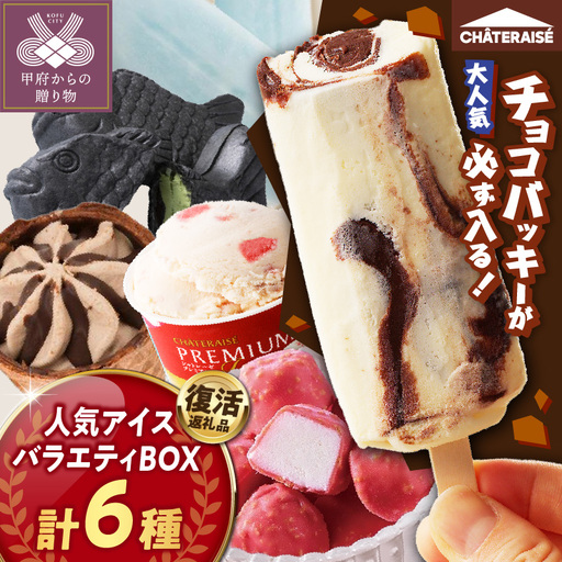 〈2026年8月発送〉【復活】季節で変わる！？チョコバッキーが必ず入る！ 人気アイスバラエティBOX 6種