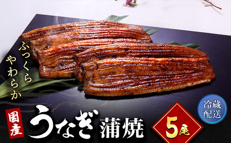 うなぎ 長蒲焼 5尾 小分け 詰め合わせ 真空パック うなぎ