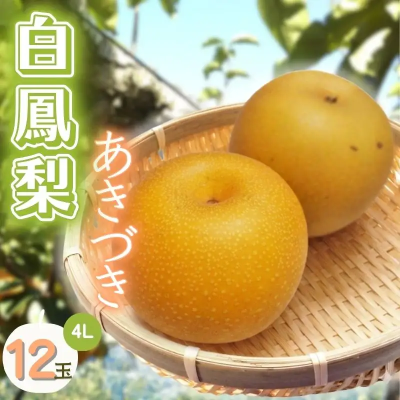 梨 白鳳梨(あきづき)4L 12玉※お届けは9月中旬頃の予定 梨 【hkns0002】