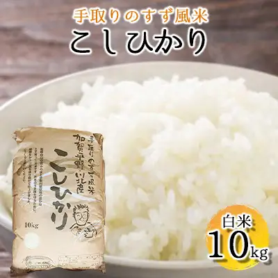【令和8年度産】手取りのすず風米こしひかり　白米10kg 