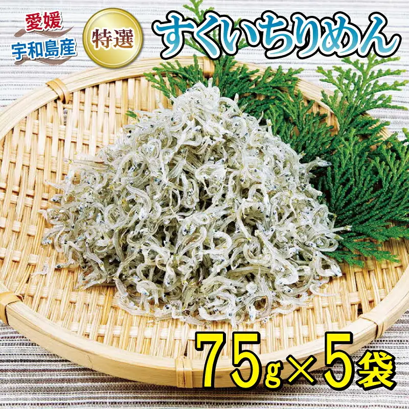 特選 ちりめん すくいちりめん 75g×5袋 計375g 愛媛県漁業協同組合宇和島支所 じゃこ ちりめんじゃこ しらす しらす干し ちりめん干し 冷蔵 人気 おつまみ 加工品 水産品 ふりかけ 弁当 おにぎり カタクチイワシ イワシ 産地直送 国産 愛媛 宇和島 D018-027004