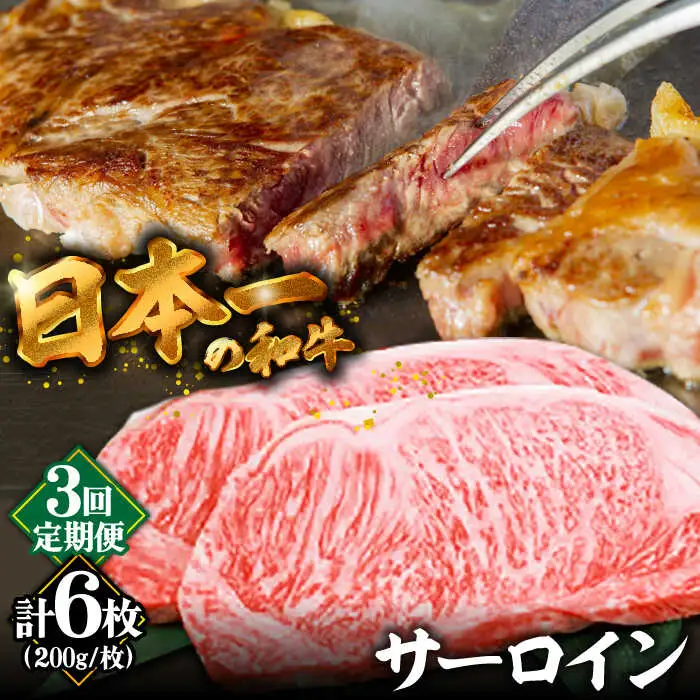 【3回定期便】【やわらかな赤身と口どけまろやかな脂身】長崎和牛 サーロインステーキ 400g 2人前（200g×2枚）/ 牛肉 ステーキ 長崎産 サーロイン / 南島原市 / ふるさと企画 [SBA032]