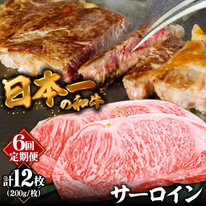 【6回定期便】【やわらかな赤身と口どけまろやかな脂身】長崎和牛 サーロインステーキ 400g 2人前（200g×2枚）/ 牛肉 ステーキ 長崎産 サーロイン / 南島原市 / ふるさと企画 [SBA033]