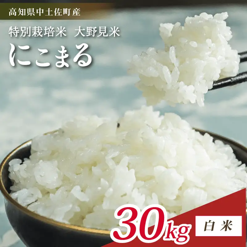 【令和8年産】【新米】 白米 にこまる 30kg 大野見米