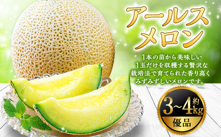 山形おきたま産 アールスメロン （優品） 2玉（約3kg～4kg） 山形県産 【2026年9月順次発送予定】