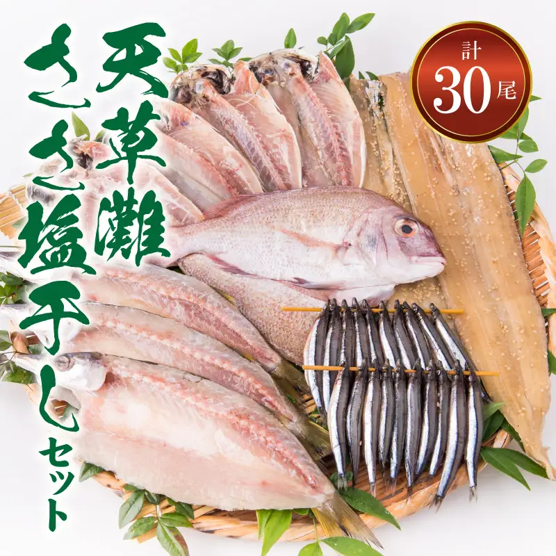 S011-022A_天草灘ささ塩干しセット(天然鯛、あじ、カマスのささ塩干し等)