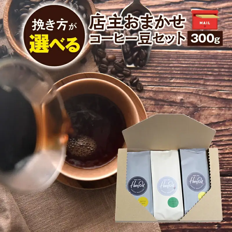 【細挽き】店主おまかせ 挽き立てコーヒー豆3種類セット(100g×3種類）【hgo003-a】