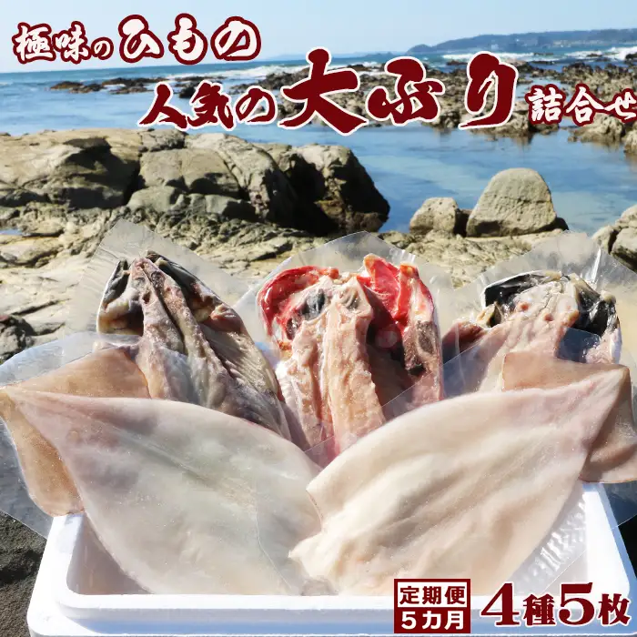 【極味の定期便】特選！人気ひもの詰合せ 大ぶり３種＋いか一夜干し２枚 × 選べる５カ月《隔月発送》　[0072-0006]