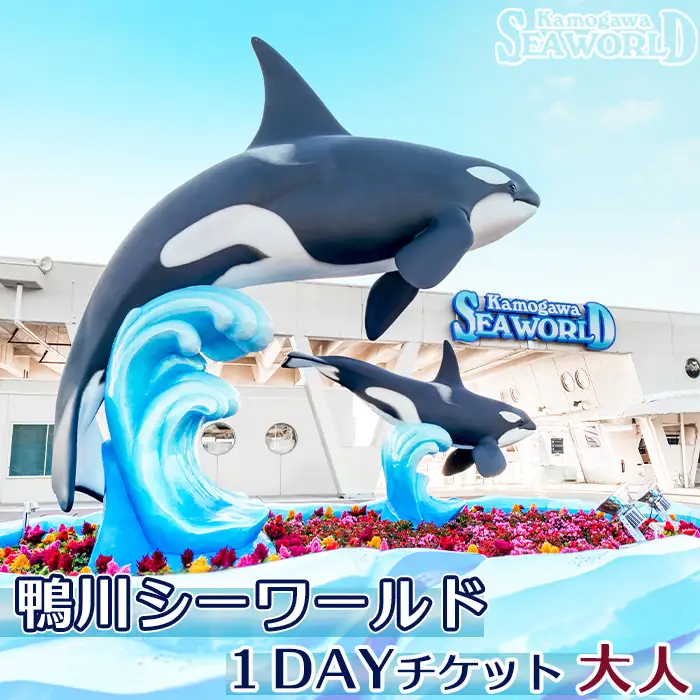 【鴨川シーワールド】１Dayチケット 大人（高校生以上）１枚　[0012-0060]