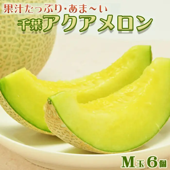 【高橋メロン農園】千葉アクアメロン M玉以上 × 6個 [0050-0051]