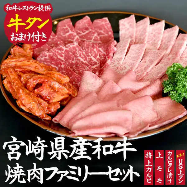 【おまけ付き】宮崎県産和牛焼肉ファミリーセット 焼肉 和牛 焼肉セット 国産焼肉セット 牛肉 牛肉セット和牛セット