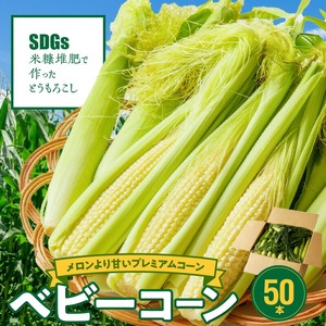 【ふくおかエコ農産物認証】農家直送！SDGs米糠堆肥で作ったベビーコーン50本【2026年5月より順次出荷】_ふくおかエコ農産物 2026年5月より順次出荷 農家直送 ベビーコーン とうもろこし 50本 メロンより 甘い プレミアムコーン シャキシャキ 食感 旬の味 八宝菜 サラダ 野菜 オーブン焼き レンチン お取り寄せ 酒見農産 福岡県 久留米市 送料無料 〔Gv036〕