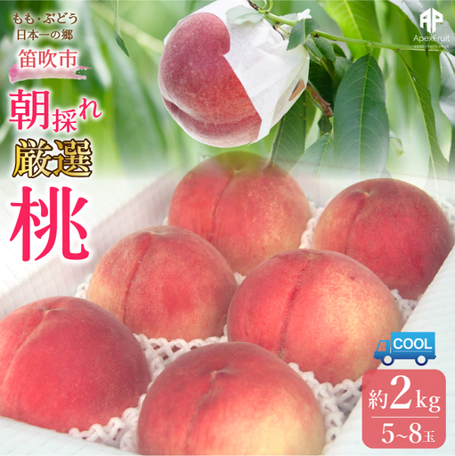 【2026年発送★先行予約】笛吹市産　厳選! 旬の桃 約2kg (5～8玉) 205-001
