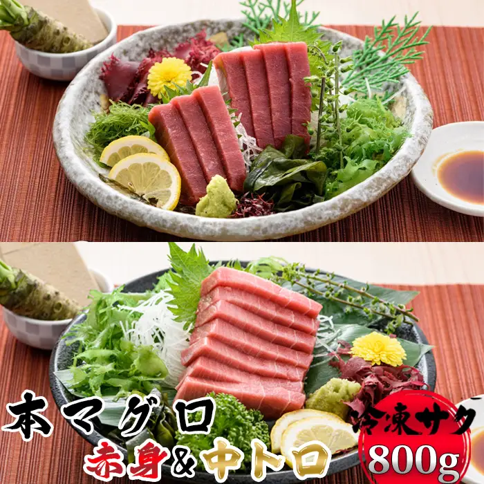 【プロが厳選！】本マグロ 赤身400g&中トロ400g [0033-0012]