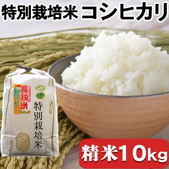 【千葉県知事賞受賞】川名一将さんちの長狭米 特別栽培米コシヒカリ10kg【精米】 [0032-0005]