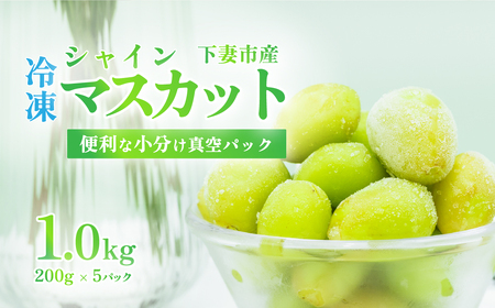 【訳あり】冷凍シャインマスカット約1kg（約200g×5パック）【TV等で話題の凍眠（急速冷凍）】