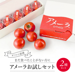 先行予約 アメーラ トマト ルビンズ セット トマト ミニトマト