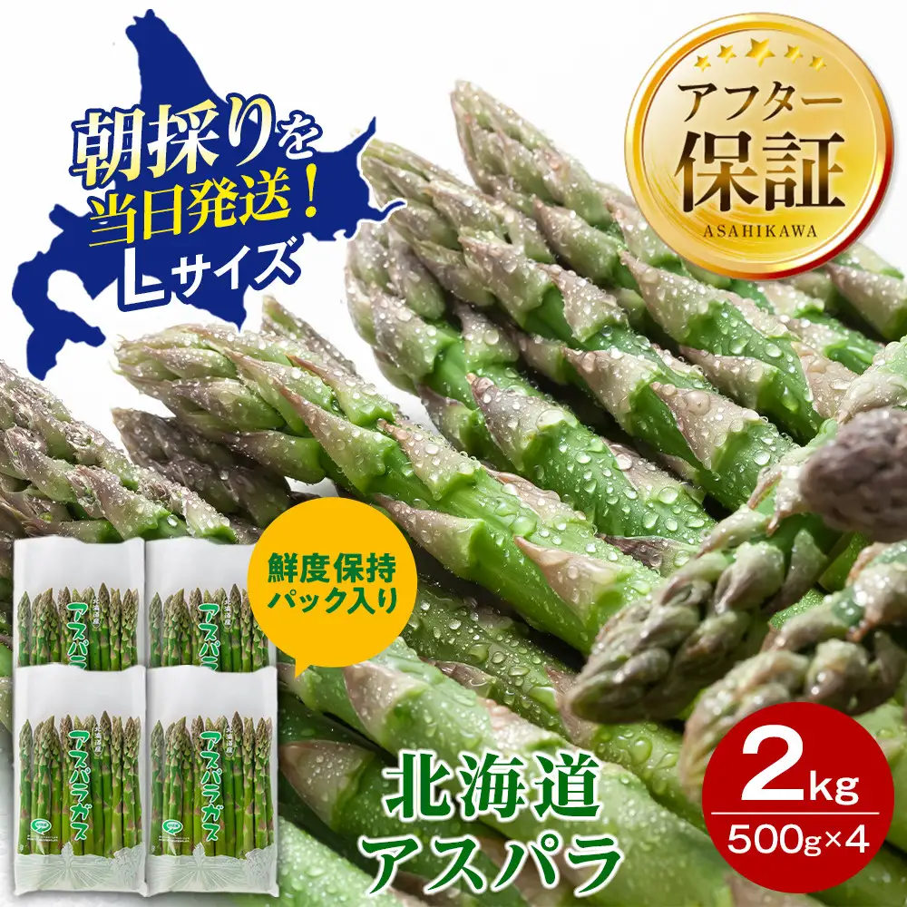 【2027年先行予約】朝採りアスパラ Lサイズ 2kg（500g×4）鮮度保持パック入り 旭川近郊産 露地物（5月中旬発送開始予定）| アスパラ 北海道 _01591