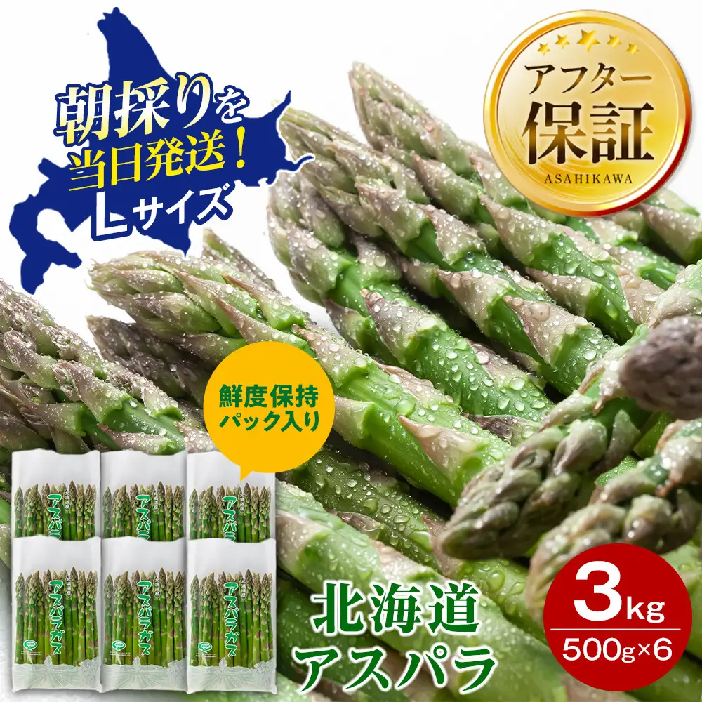 【2027年先行予約】朝採りアスパラ Lサイズ 3kg（500g×6）鮮度保持パック入り 旭川近郊産 露地物（5月中旬発送開始予定）| アスパラ 北海道 _01592