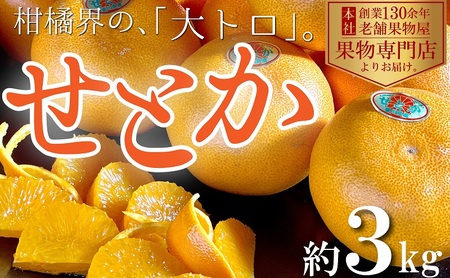 【2027年2月中旬より順次発送】柑橘界の大トロ！せとか　約3kg 果物 フルーツ 国産 日本産 冬の味覚 冬の果物 冬のフルーツ 香川オリジナル品種 観音寺市産 
