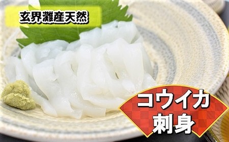 これは食べなイカん！！ お刺身コウイカ300g（50g×6P）[H0080]
