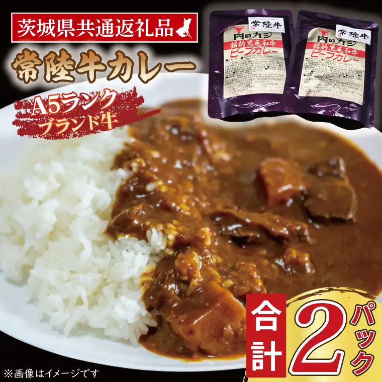 常陸牛カレー 200g×2パック ( 茨城県共通返礼品・茨城県産 ) ブランド牛 茨城 国産 常陸牛 黒毛和牛 霜降り 牛肉 カレー レトルト レトルトパウチ レトルトカレー_CY044
