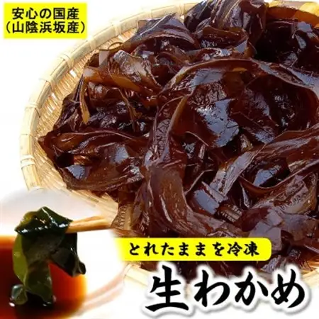 とれたままを冷凍　柔らかく歯ごたえ抜群　生わかめ(冷凍)【配送不可地域：離島】【1408230】