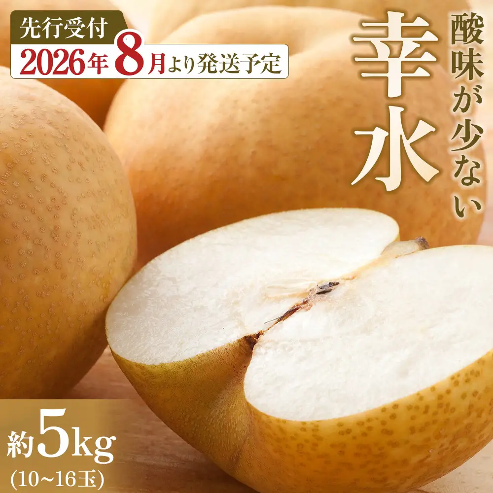 【馬場果樹園】梨「幸水」約5kg（10～16玉入）  ｜ 梨 