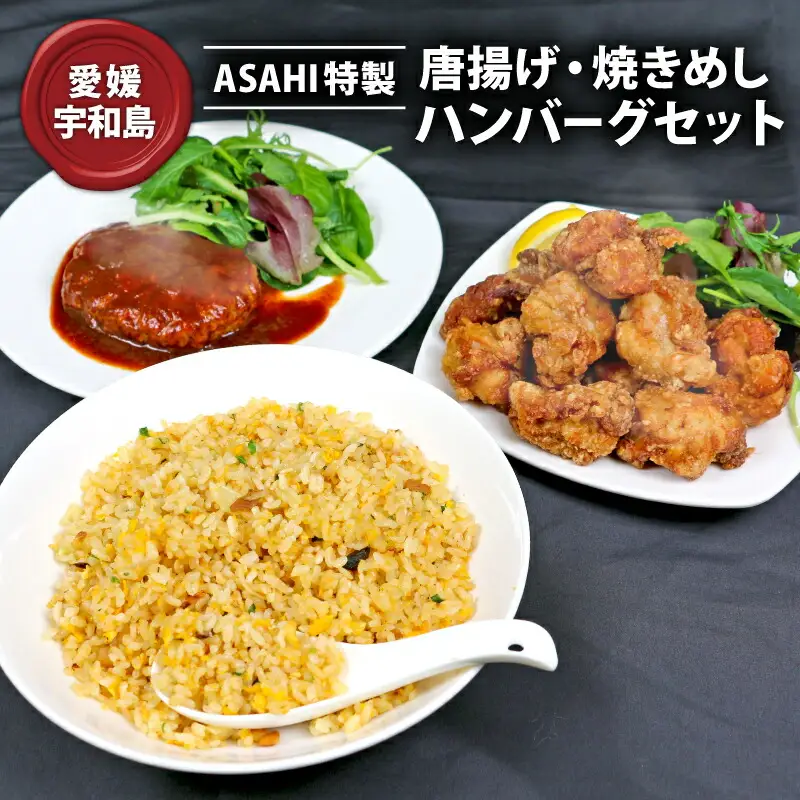 冷凍食品 セット 唐揚げ 焼きめし ハンバーグ ASAHI特製 株式会社きむら 冷凍食品 J010-126004