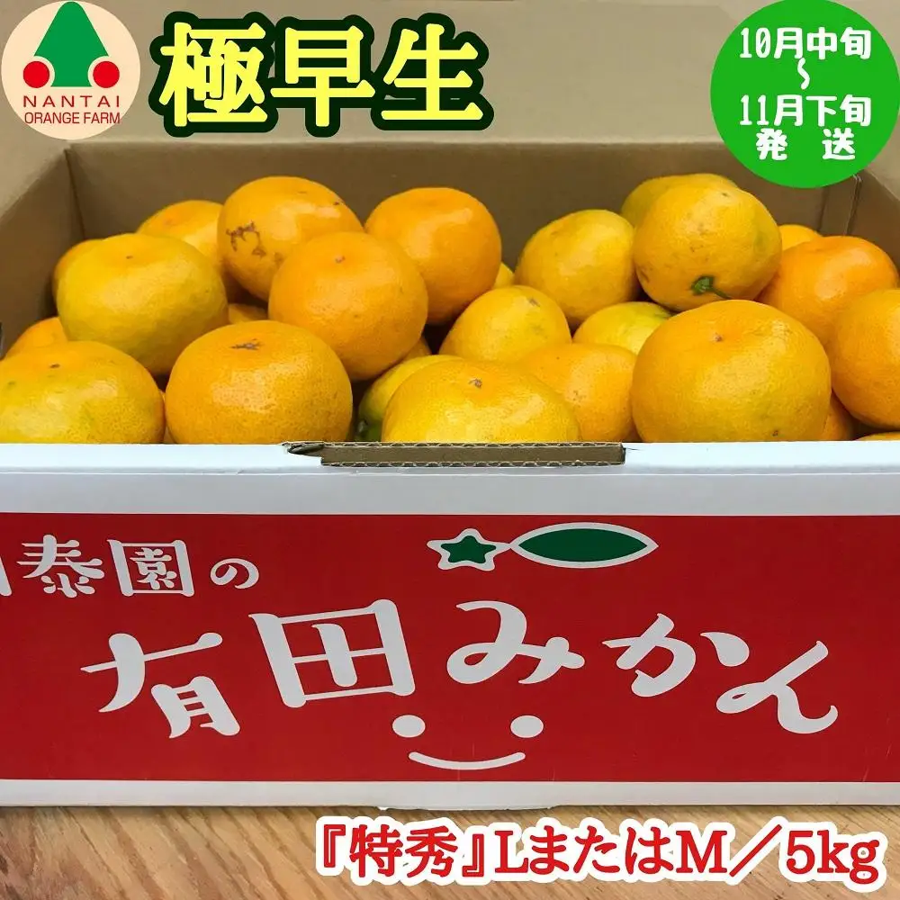 極早生 有田 みかん 特秀 L または M サイズ 5kg 南泰園 和歌山 有田みかん