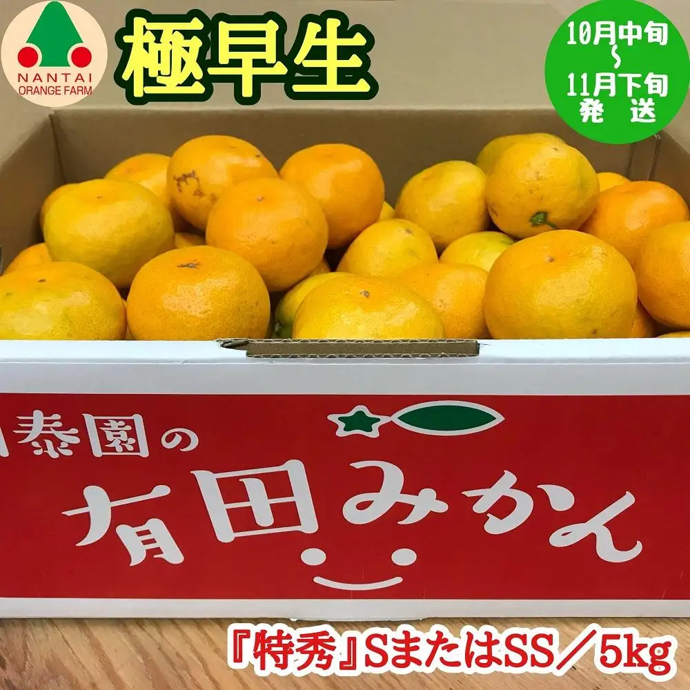 極早生 有田 みかん 特秀 S または SS サイズ 5kg 南泰園 和歌山 有田みかん