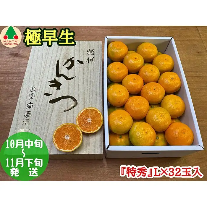 極早生 有田 みかん 化粧箱 特秀 L サイズ 32玉入 南泰園 和歌山 有田みかん