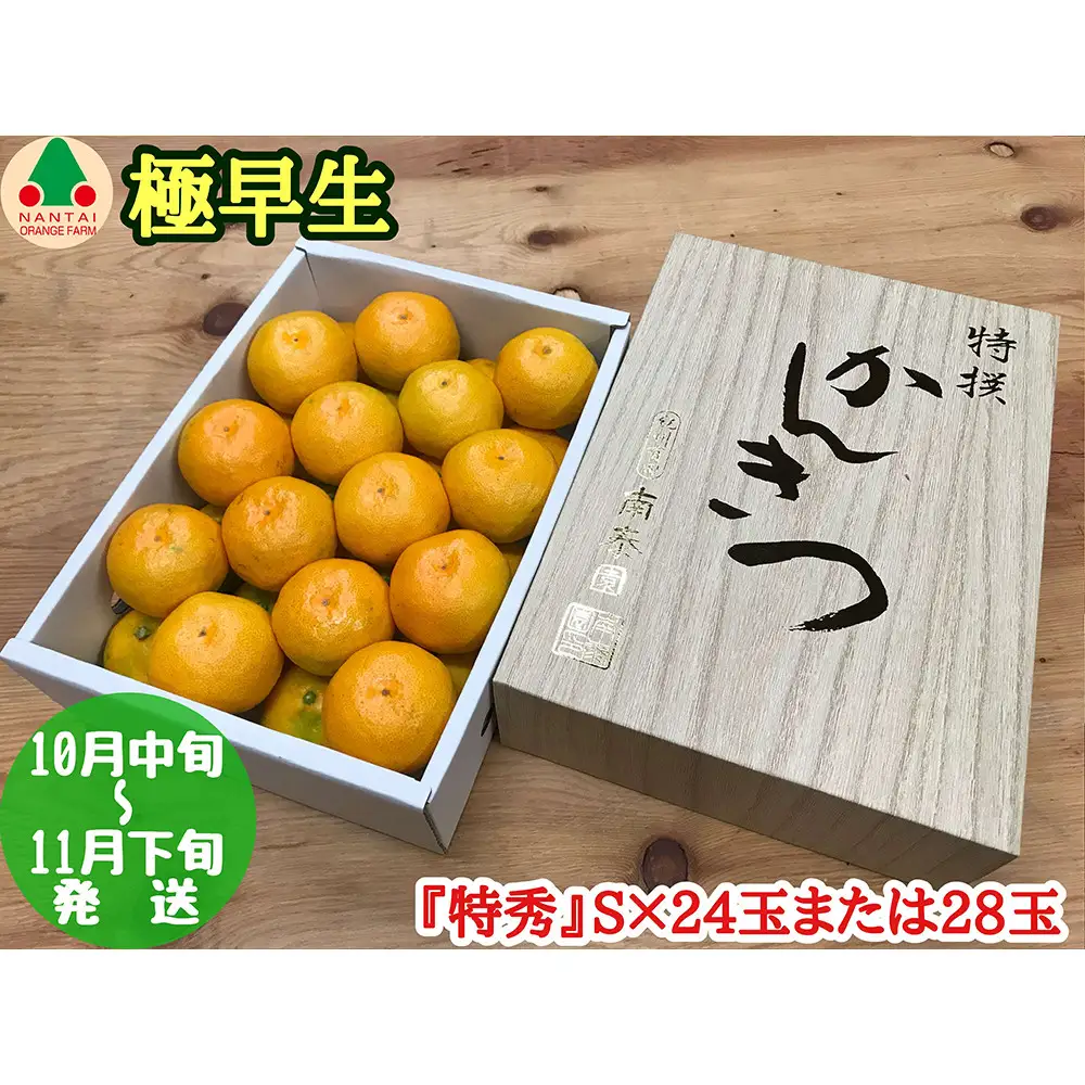 極早生 有田 みかん 化粧箱 小箱 特秀 S サイズ 24玉または28玉入 南泰園 和歌山 有田みかん