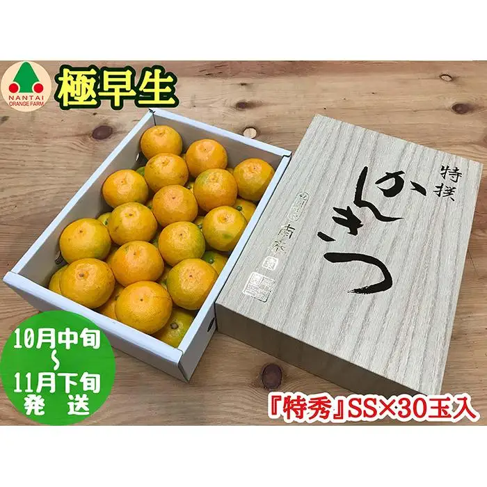 極早生 有田 みかん 化粧箱 小箱 特秀 小玉 SS サイズ 30玉入 南泰園 和歌山 有田みかん