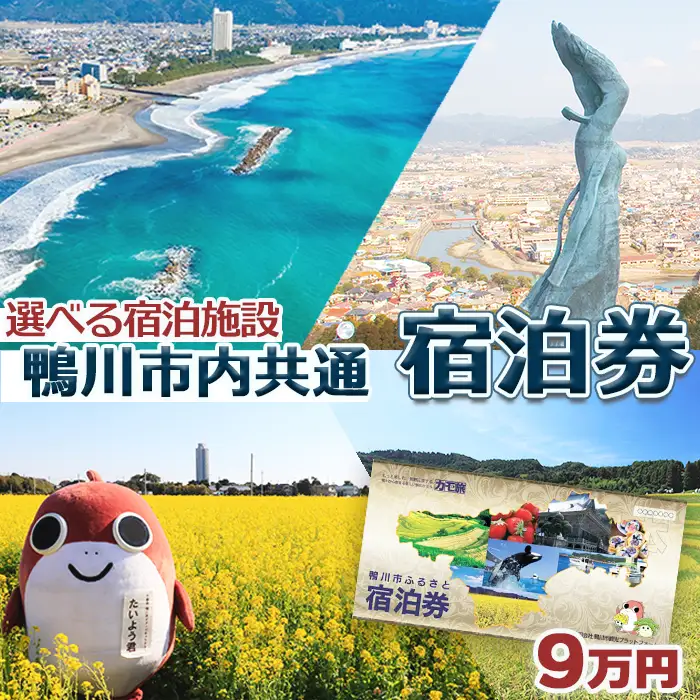 【千葉県鴨川市】市内宿泊施設『共通宿泊券』９万円相当　[0300-0006]