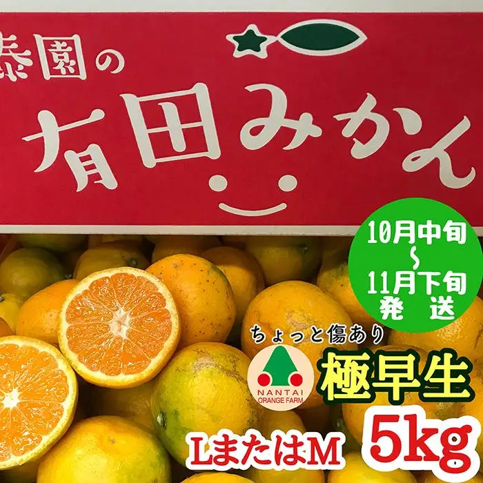ちょっと 傷あり 極早生 有田 みかん L または M サイズ 5kg 南泰園 和歌山 有田みかん