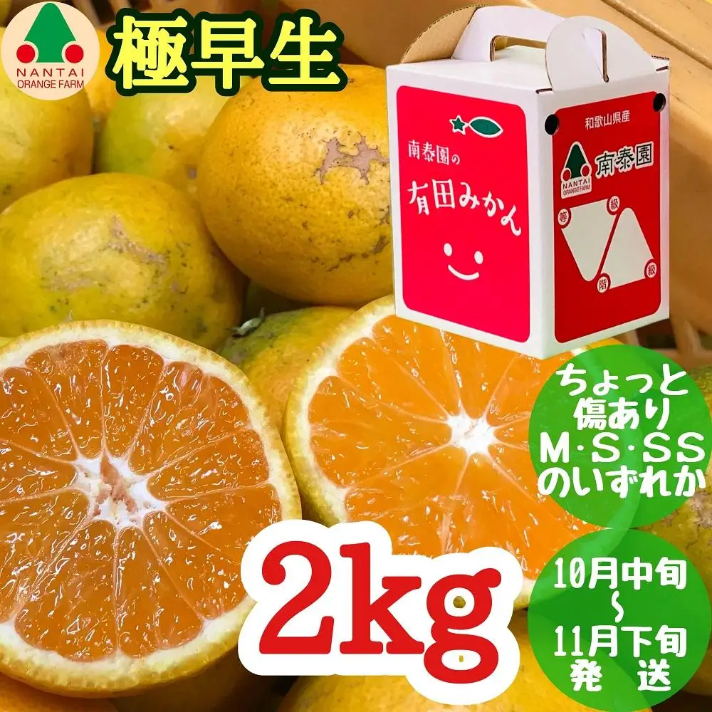 ちょっと 傷あり 極早生 有田 みかん M～SS サイズ 2kg 手さげ箱 南泰園 和歌山 有田みかん