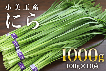 【数量限定・期間限定】 小美玉市産にら 100g×10 にら ニラ 生 香味 野菜 料理 惣菜 おかず 1kg 茨城 国産 17-AA ＜5月～11月発送予定＞