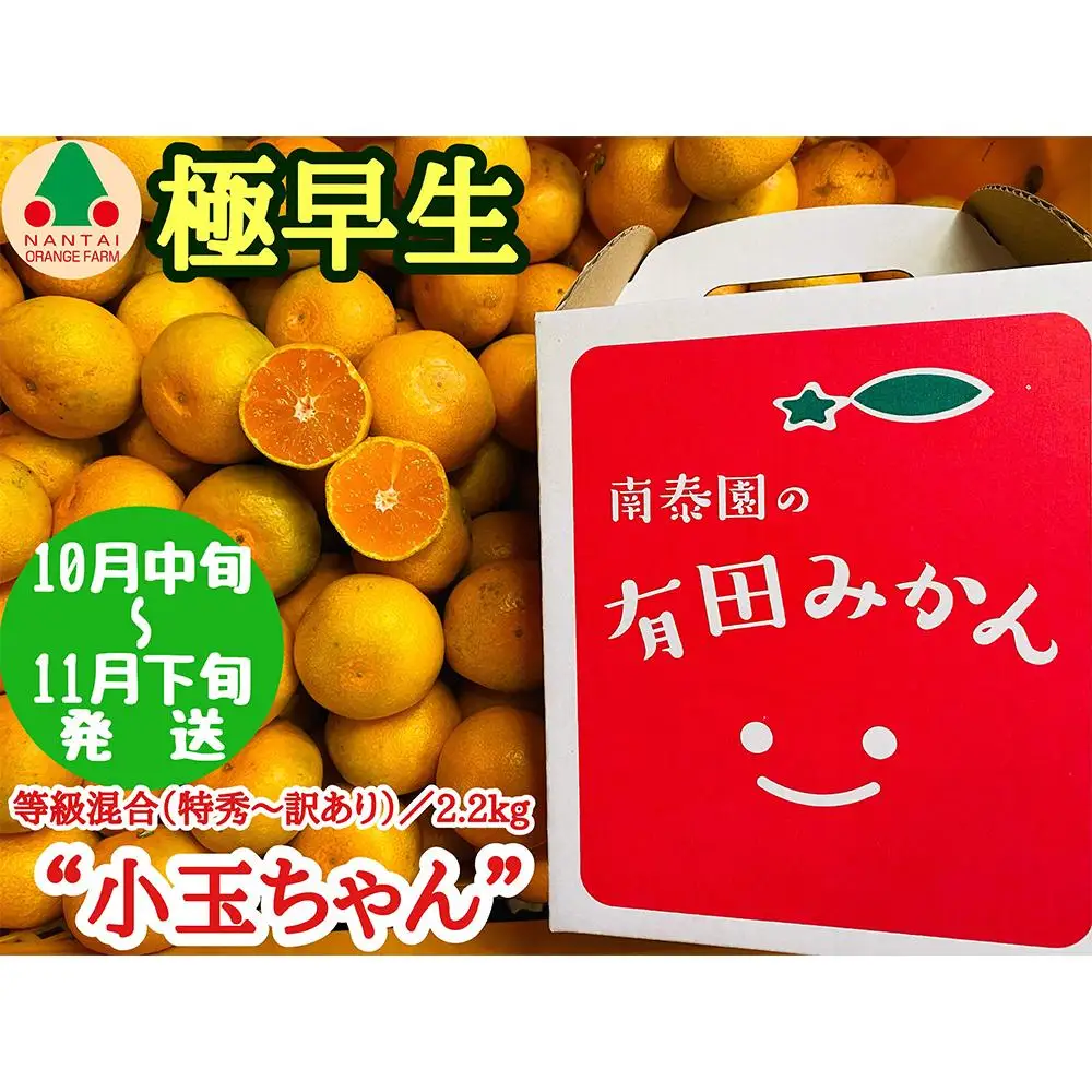 極早生 有田 みかん 小玉ちゃん 等級 混合 2.2kg 南泰園 和歌山 有田みかん