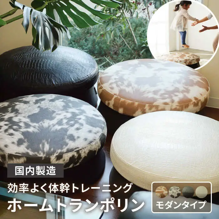 ホームトランポリン モダンタイプ 糸島市 / 未来航路 クッション インテリア [AAB010]