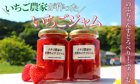 【予約受付】手作りいちごジャム2本セット 