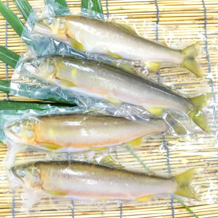 【一級河川・江の川の恵み】島根県産　天然冷凍鮎　約800g