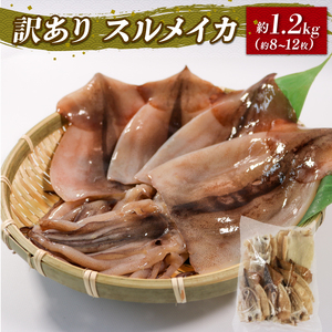 訳あり スルメイカ 1.2kg 8?12枚入 いか スルメイカ 海鮮 魚貝類 魚介類 おつまみ 開き お酒のあて 煮物 おかず ご飯 白米 三陸産 岩手県 大船渡市
