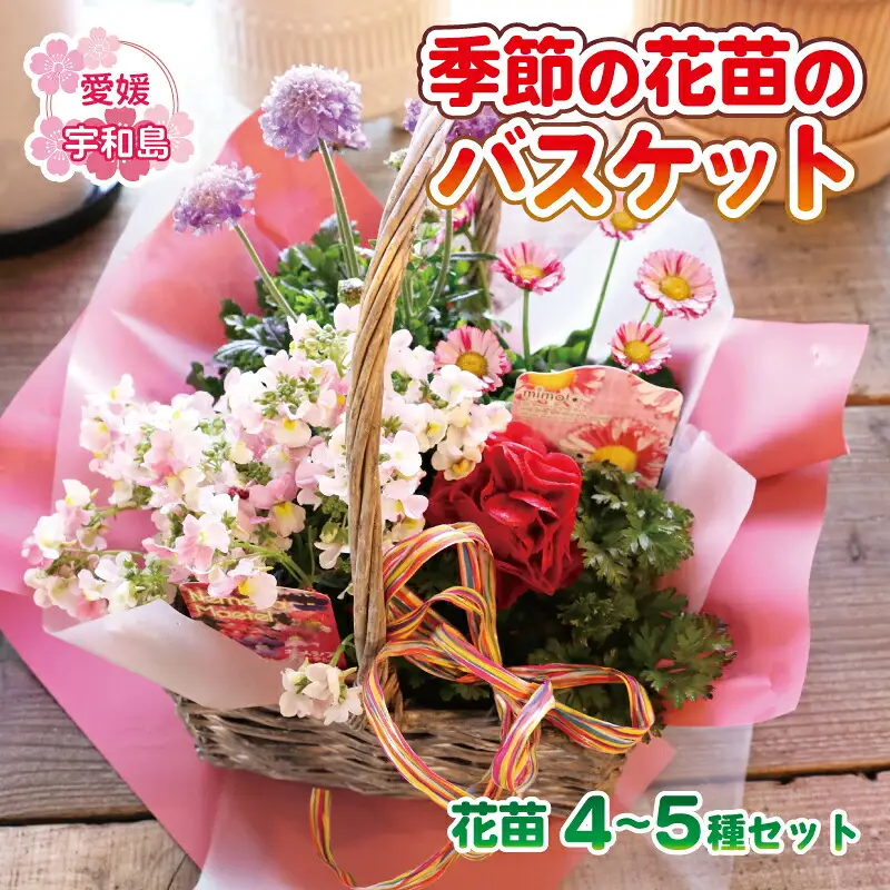 花苗 季節 の 花苗バスケット Flowershop Poppy 花 花苗 花 苗 寄植え 生花 フラワー Flower 雑貨 インテリア 誕生日 記念日 プレゼント 贈り物 フラワーライフ 自宅用 アレンジメント ガーデニング 園芸 ギフト 国産 愛媛 宇和島 K012-125002