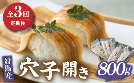 【全3回定期便】対馬 穴子 開き 800g [WAD029]アナゴ あなご 穴子重 穴子