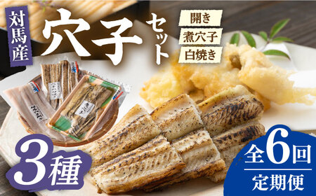 【全6回定期便】対馬 穴子 セット 500g [WAD039] 煮穴子 白焼き あなご アナゴ
