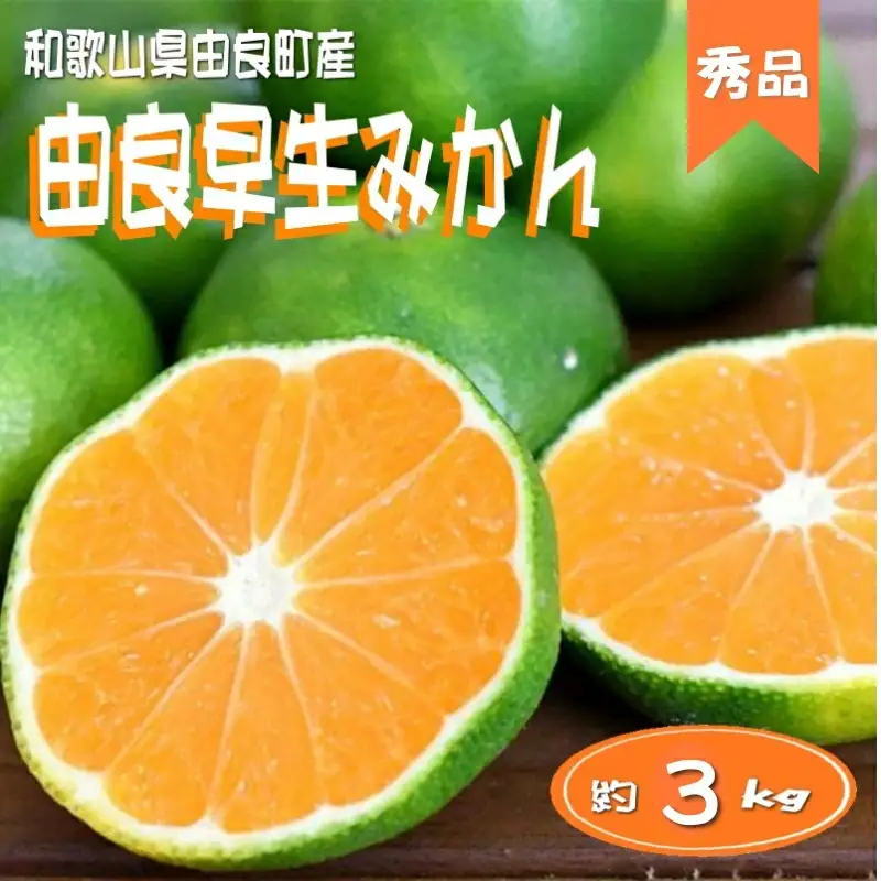 ≪秀品≫和歌山由良町産 由良早生みかん 約3kg サイズおまかせ【sml107C】