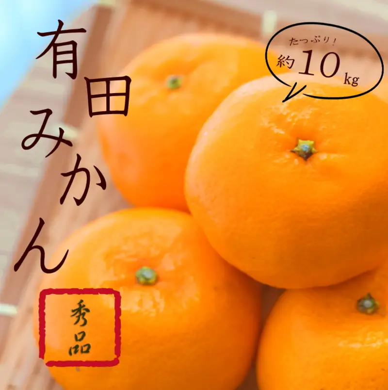 紀州有田みかん 秀品 約10kg(Ｌ・М・Ｓ・２S サイズおまかせ)【sml109B】